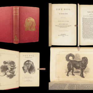 1856 DOG by Youatt | Illustrated Animals & Veterinary Medicine Canine Breeding