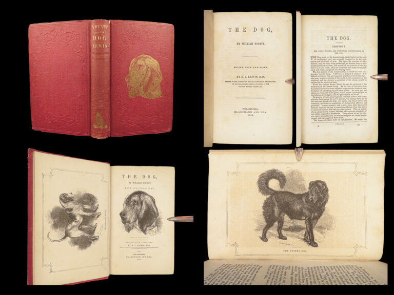 Image of 1856 DOG by Youatt | Illustrated Animals & Veterinary Medicine Canine Breeding