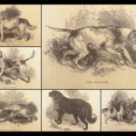 1856 DOG by Youatt | Illustrated Animals & Veterinary Medicine Canine Breeding