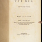 1856 DOG by Youatt | Illustrated Animals & Veterinary Medicine Canine Breeding