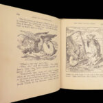 Alice’s Adventures in Wonderland – Lewis Carroll – 1897 | Altemus Color Plates Edition