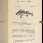 A History of British Fishes –Yarrell – 1841 | Angling Woodcuts | 3v Fine Binding
