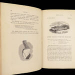 A History of British Fishes –Yarrell – 1841 | Angling Woodcuts | 3v Fine Binding