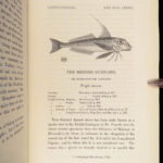 A History of British Fishes –Yarrell – 1841 | Angling Woodcuts | 3v Fine Binding