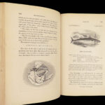 A History of British Fishes –Yarrell – 1841 | Angling Woodcuts | 3v Fine Binding
