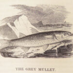 A History of British Fishes –Yarrell – 1841 | Angling Woodcuts | 3v Fine Binding