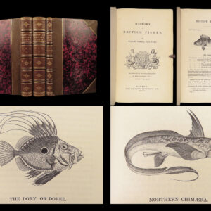 A History of British Fishes –Yarrell – 1841 | Angling Woodcuts | 3v Fine Binding