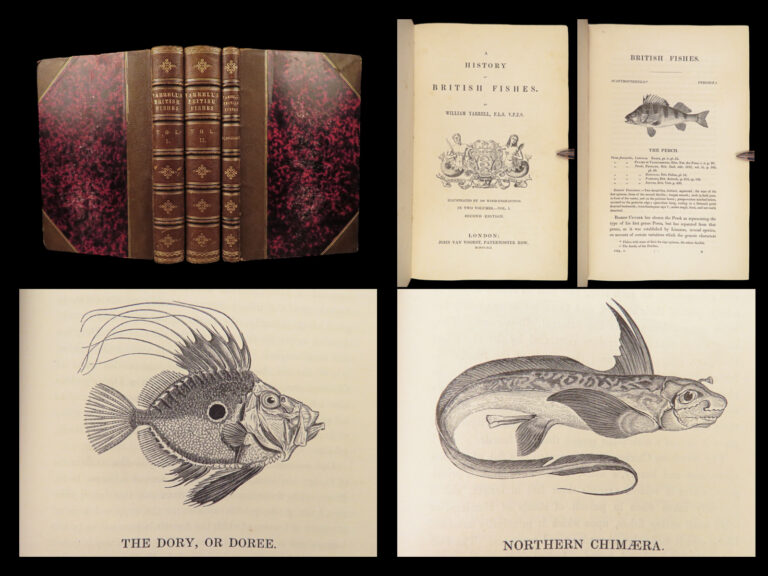 Image of A History of British Fishes –Yarrell – 1841 | Angling Woodcuts | 3v Fine Binding