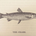 A History of British Fishes –Yarrell – 1841 | Angling Woodcuts | 3v Fine Binding