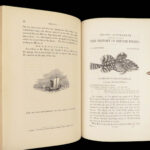A History of British Fishes –Yarrell – 1841 | Angling Woodcuts | 3v Fine Binding