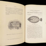 A History of British Fishes –Yarrell – 1841 | Angling Woodcuts | 3v Fine Binding