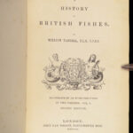A History of British Fishes –Yarrell – 1841 | Angling Woodcuts | 3v Fine Binding