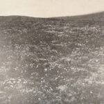 The Cruise of the Corwin – John Muir – 1917 | First Edition, Arctic Notes