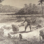 1890 In Darkest Africa 1st ed by Henry Stanley | David Livingstone Expedition