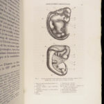 La Descendance de l’Homme – Charles Darwin – 1872 | First French Edition in Publisher’s Cloth