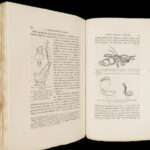 La Descendance de l’Homme – Charles Darwin – 1872 | First French Edition in Publisher’s Cloth