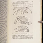 La Descendance de l’Homme – Charles Darwin – 1872 | First French Edition in Publisher’s Cloth