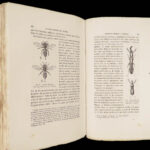 La Descendance de l’Homme – Charles Darwin – 1872 | First French Edition in Publisher’s Cloth