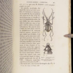 La Descendance de l’Homme – Charles Darwin – 1872 | First French Edition in Publisher’s Cloth