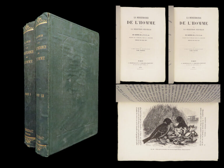 Image of La Descendance de l’Homme – Charles Darwin – 1872 | First French Edition in Publisher’s Cloth