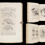 La Descendance de l’Homme – Charles Darwin – 1872 | First French Edition in Publisher’s Cloth