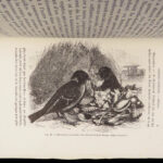 La Descendance de l’Homme – Charles Darwin – 1872 | First French Edition in Publisher’s Cloth