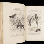 La Descendance de l’Homme – Charles Darwin – 1872 | First French Edition in Publisher’s Cloth