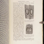 La Descendance de l’Homme – Charles Darwin – 1872 | First French Edition in Publisher’s Cloth