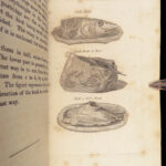 A New System of Domestic Cookery – Mrs. Rundell – 1833 | French Recipes, Exquisite Binding