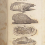 A New System of Domestic Cookery – Mrs. Rundell – 1833 | French Recipes, Exquisite Binding