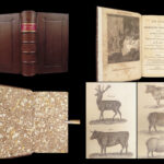 A New System of Domestic Cookery – Mrs. Rundell – 1833 | French Recipes, Exquisite Binding