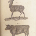 A New System of Domestic Cookery – Mrs. Rundell – 1833 | French Recipes, Exquisite Binding