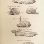 A New System of Domestic Cookery – Mrs. Rundell – 1833 | French Recipes, Exquisite Binding