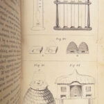 The Economical Housekeeper – J.H. Walsh – 1857 | Illustrated, Beautiful Binding
