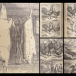 The Economical Housekeeper – J.H. Walsh – 1857 | Illustrated, Beautiful Binding