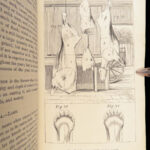 The Economical Housekeeper – J.H. Walsh – 1857 | Illustrated, Beautiful Binding