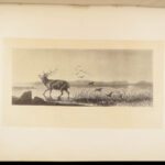 Engravings from Landseer – Edwin Landseer – 1876 | 1st American edition Folio