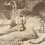 Engravings from Landseer – Edwin Landseer – 1876 | 1st American edition Folio