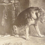 Engravings from Landseer – Edwin Landseer – 1876 | 1st American edition Folio