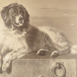 Engravings from Landseer – Edwin Landseer – 1876 | 1st American edition Folio