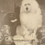 Engravings from Landseer – Edwin Landseer – 1876 | 1st American edition Folio