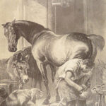Engravings from Landseer – Edwin Landseer – 1876 | 1st American edition Folio