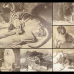 Engravings from Landseer – Edwin Landseer – 1876 | 1st American edition Folio