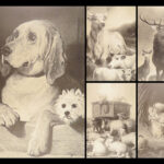 Engravings from Landseer – Edwin Landseer – 1876 | 1st American edition Folio