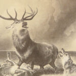 Engravings from Landseer – Edwin Landseer – 1876 | 1st American edition Folio