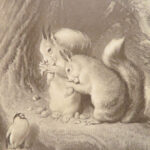 Engravings from Landseer – Edwin Landseer – 1876 | 1st American edition Folio