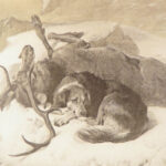 Engravings from Landseer – Edwin Landseer – 1876 | 1st American edition Folio