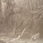 Fables of La Fontaine – Gustave Doré – c.1880 | Thornbury Translation, Gilt Cloth Folio