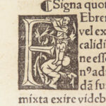 Galeni Opera – Galen – 1514 | First Estienne Edition, Niccolò Leoniceno Medical Commentary