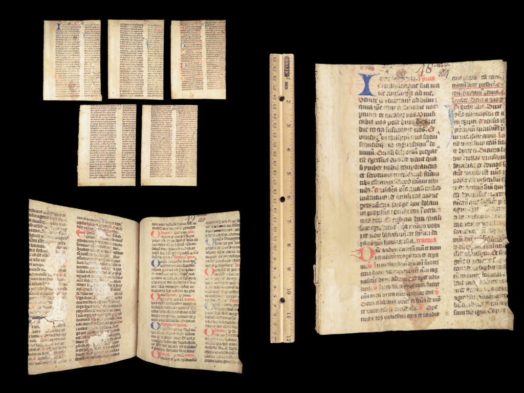 Handwritten manuscript leaves – latin – 15th century | vellum breviary or missal fragments | 15th-century latin manuscript leaves with prayers, psalms, and painted initials in red and blue on vellum.